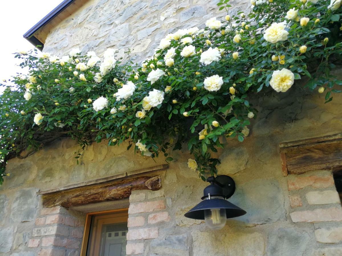 Ca Di Minu Villa Tarzo Luaran gambar